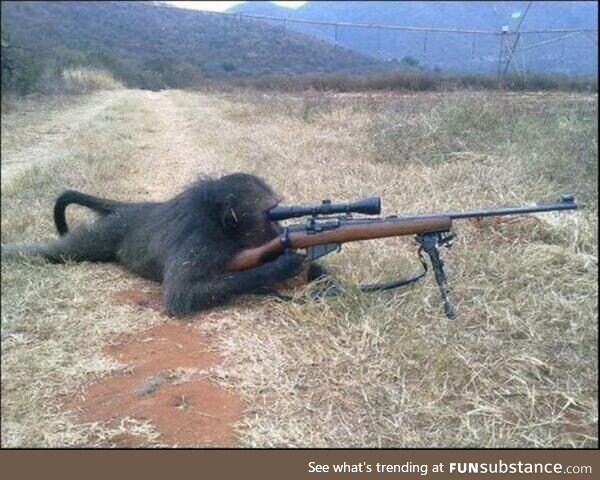 Chee Chee the Monkey, Cold War sniper. Died in battle. Was also very dangerous in hand to