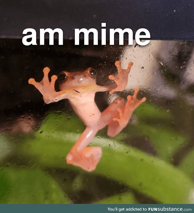 Froggos '23 #31 - Mime Time