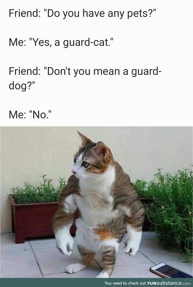 Absolute unit