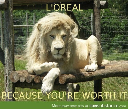 Because you're worth it