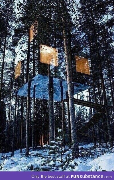 Mirror tree house