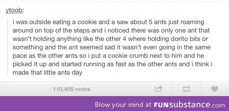 Made that ants day