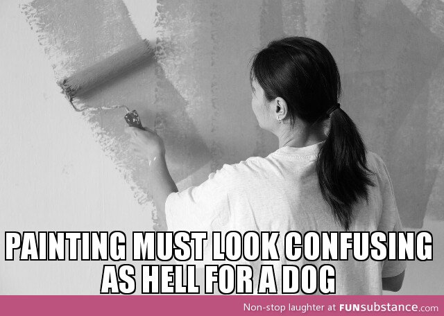 My dog watched me repaint a room today. This thought occurred to me