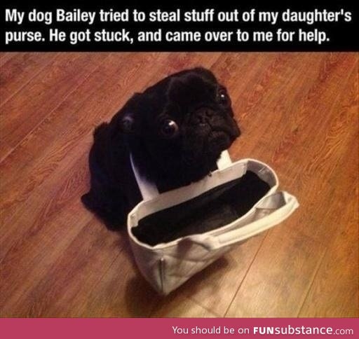 Bailey gets caught in an awkward situation