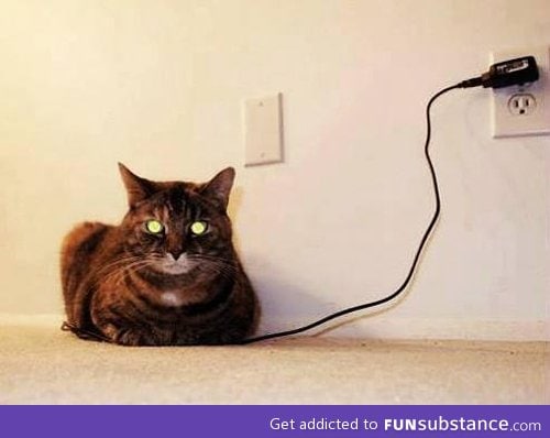 how i charge my cat