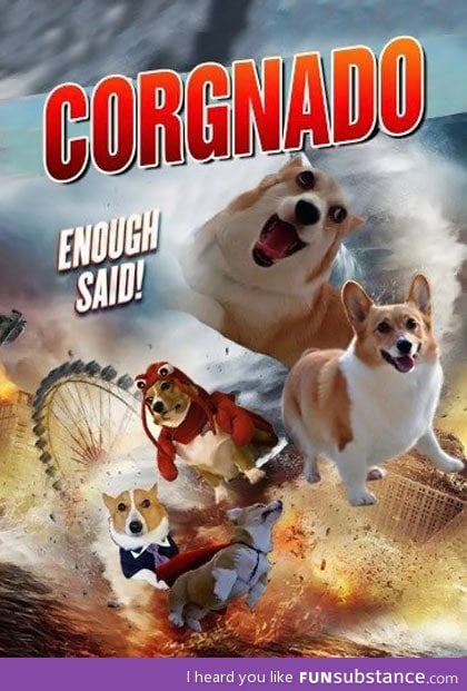 A movie we'd all pay to see