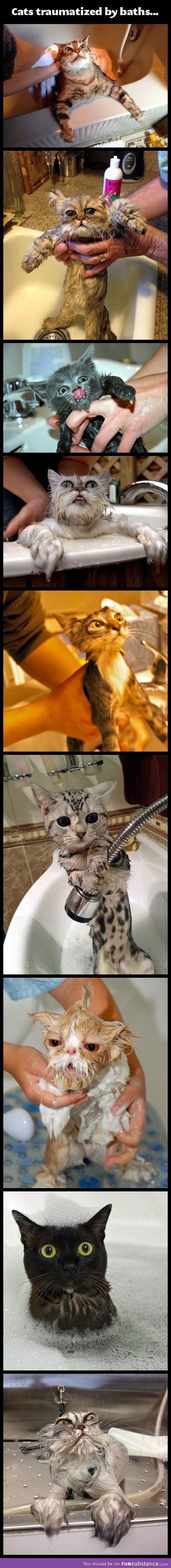 Cats traumatized by baths