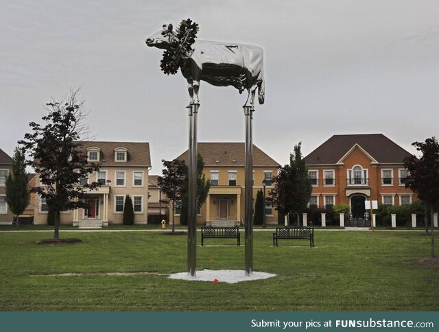 This cow sculpture has angered many residents in Markham, Ontario. Canada