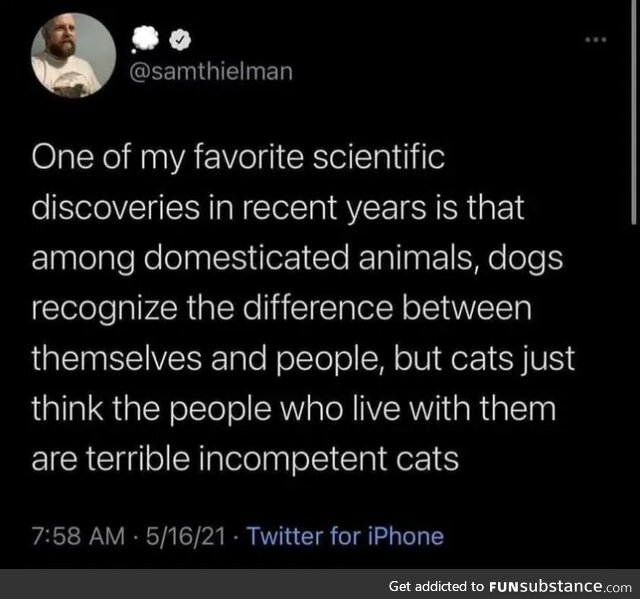 But we are terrible incompetent cats