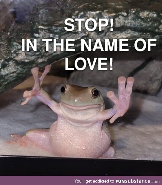 Froggos '23 #59 - The Supremes Memes