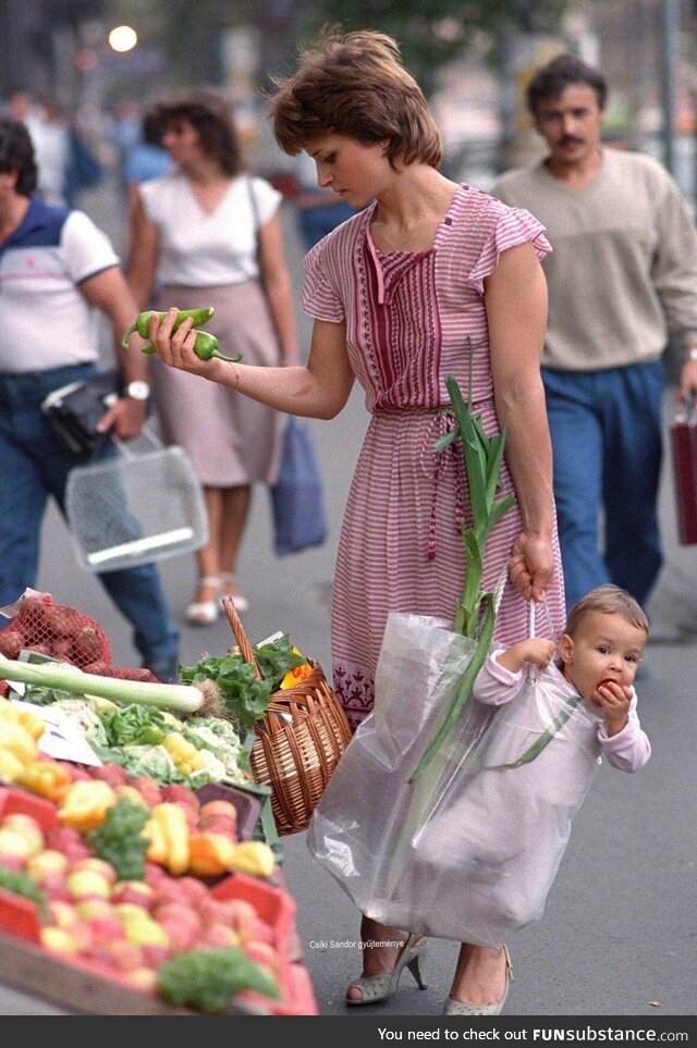 Princess Diana selects vegetables for the Queen's birthday dinner while William dangles,