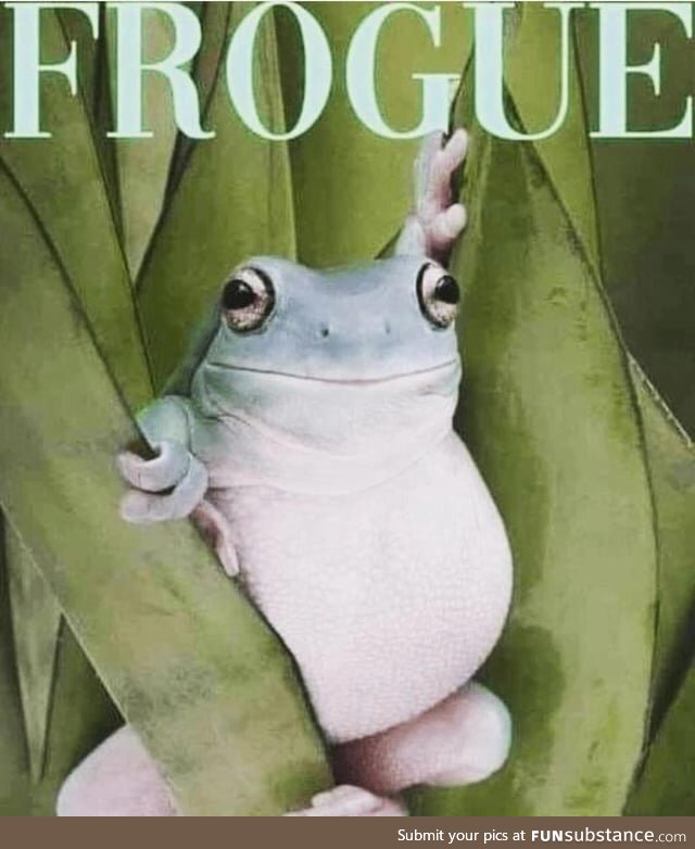 Froggos '23 #98 - Spring Edition