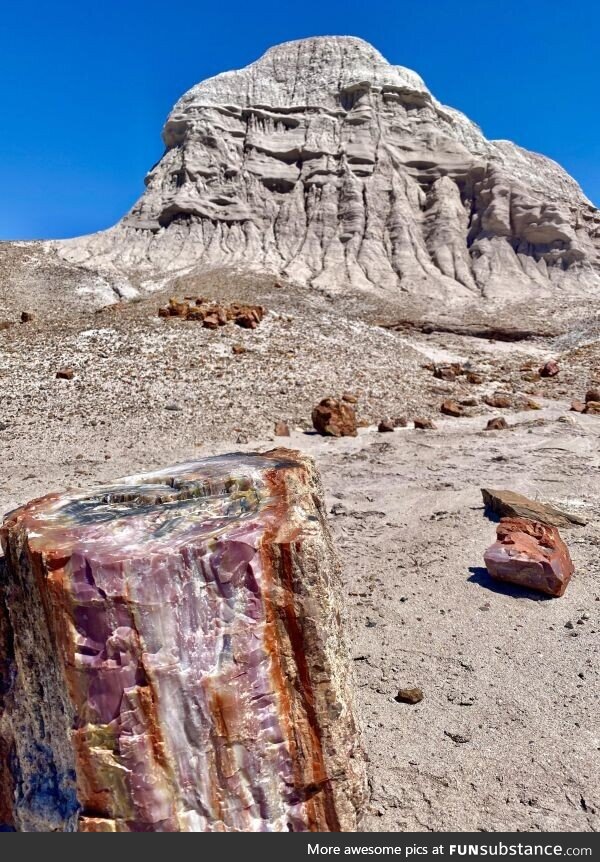 Petrified wood in front of Mt Rushmore on acid