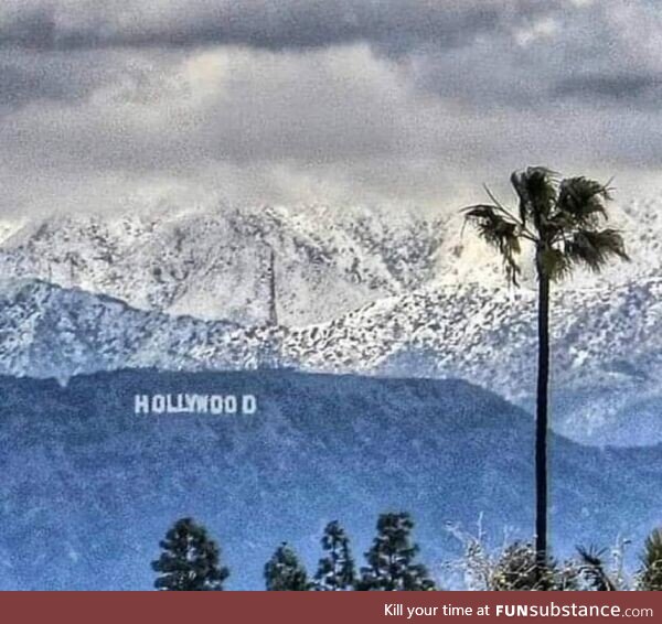 Snow covered Hollywood