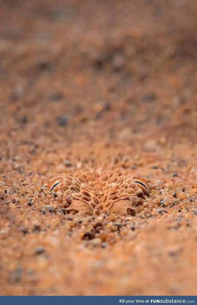 Some Completely Ordinary Sand