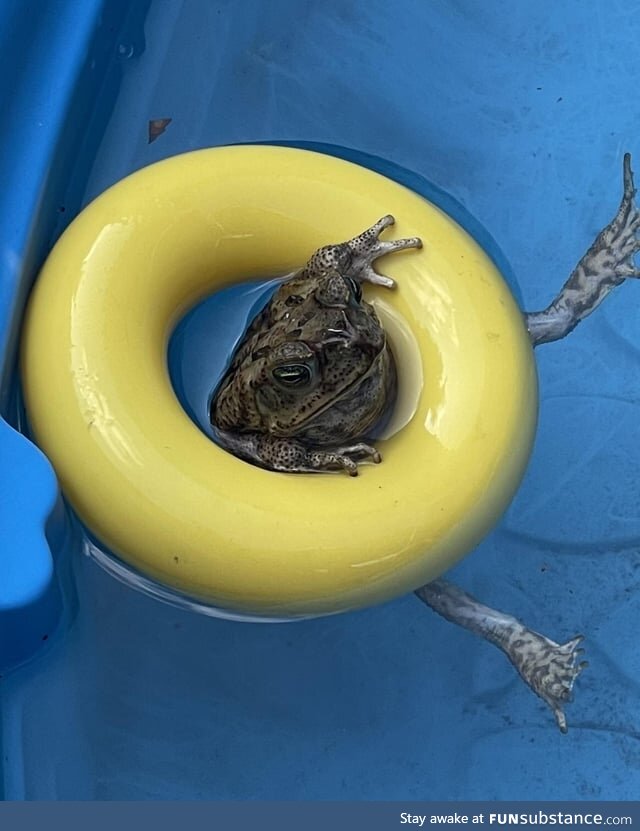 Froggos '23 #132 - Already Enjoying Summer