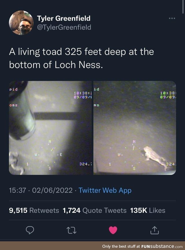 Froggos '23 #136 - They Found Nessy