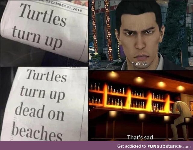The turtles tho :(