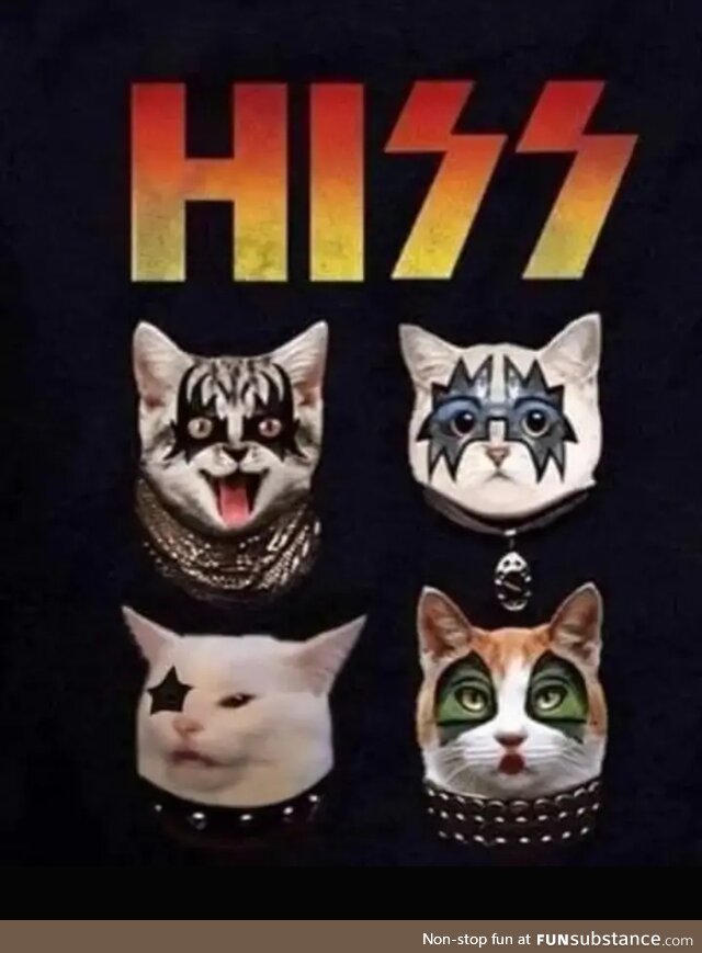 Cats!