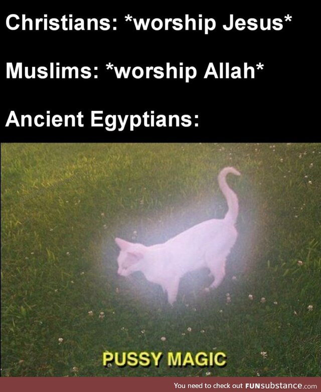 All hail the Cat God