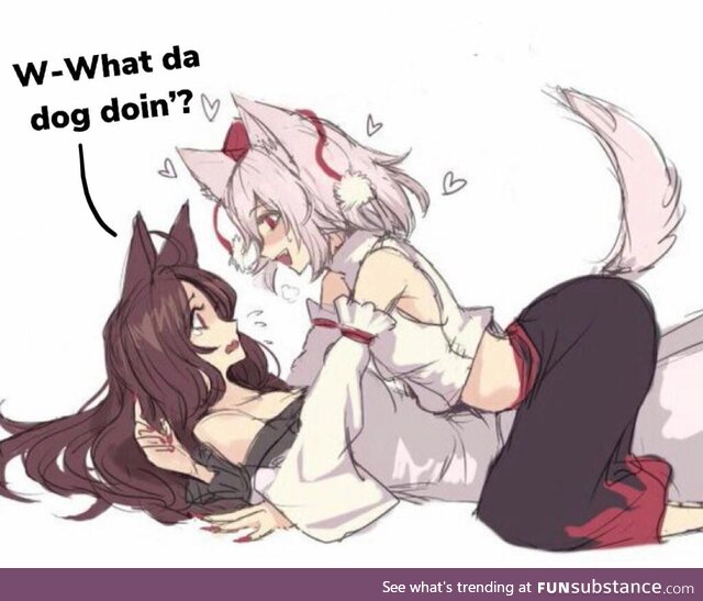 What da dog doin’?
