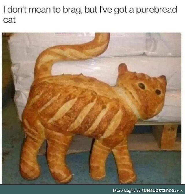 Cat-loaf