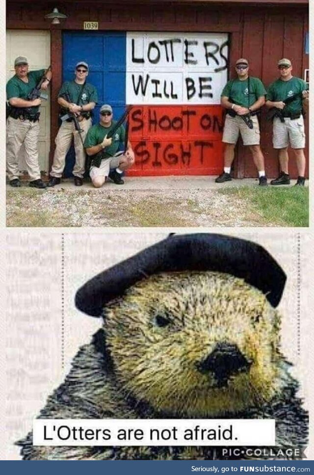 Le French otter, no mess with!