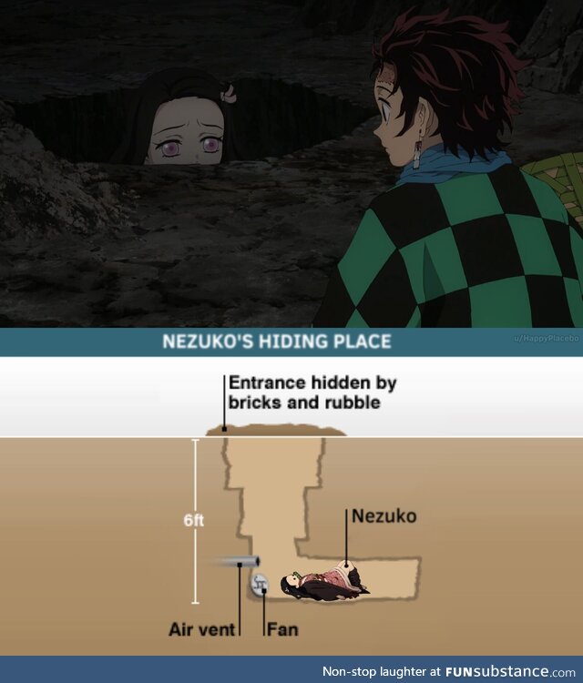 So this is what Nezuko's first hiding place looks like