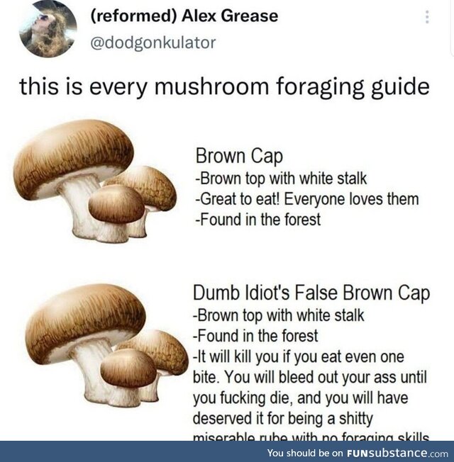 Mushrooms aren't even any good