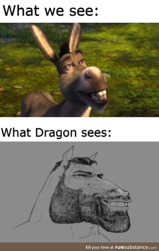 Giga chad donkey