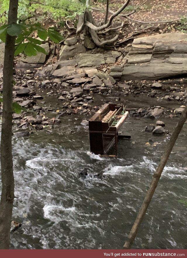 A piano I spotted in a river on my run this morning. It has not rained a lot lately, and