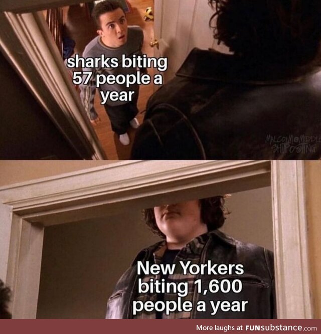 New Yorker struggle