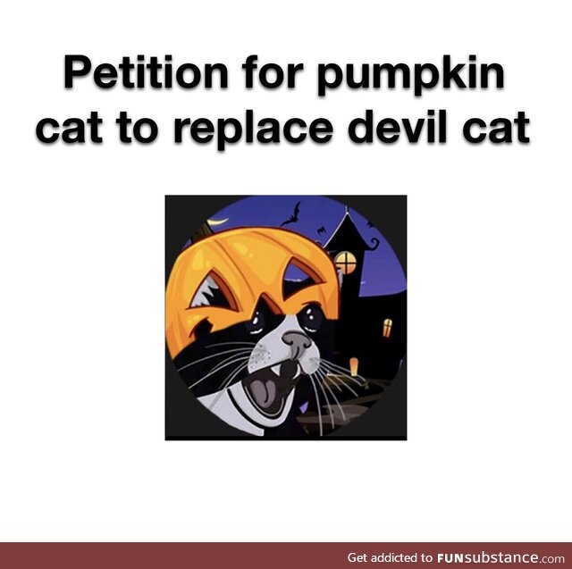 Pumpkin cat is where it’s at