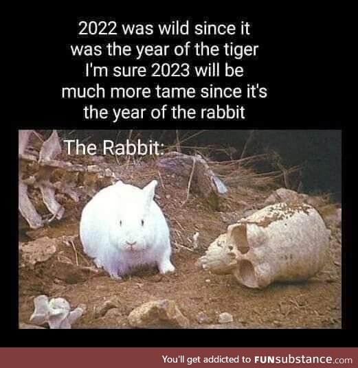 The year of the rabbit... Oh no!