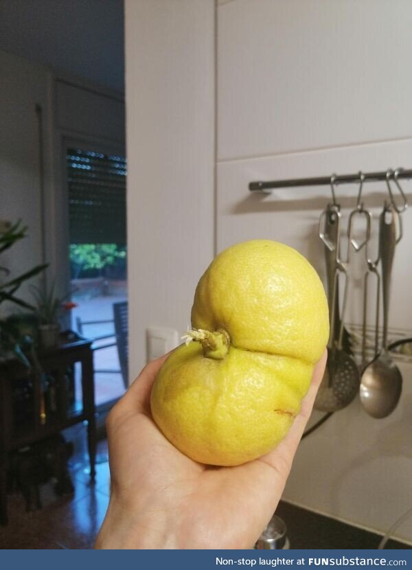 It's a lemon
