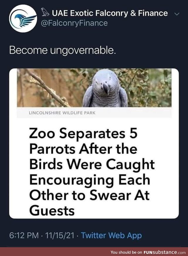 Parrot gangs