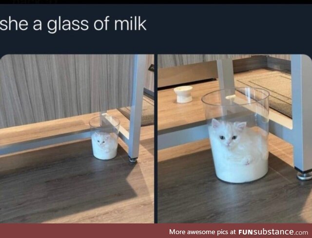 Cats are in fact a liquid