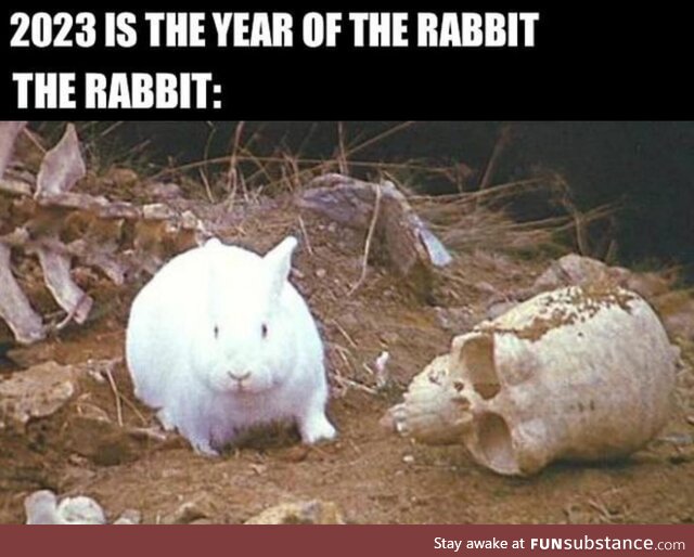Oh, it's just a harmless little bunny, isn't it?