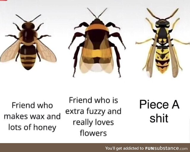 Be kind to bees