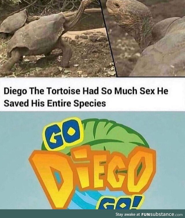 Go diego go!!