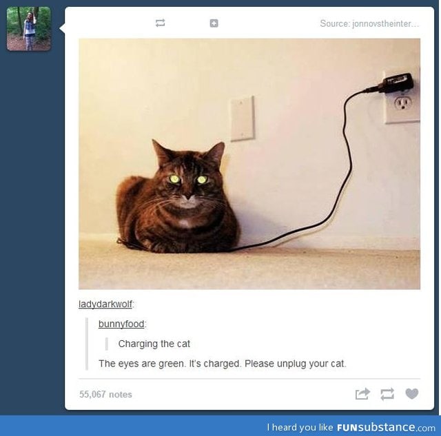 charging the cat