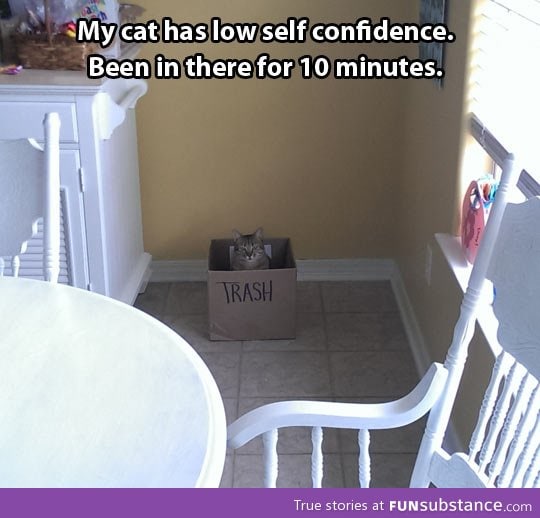 Cat with low self confidence
