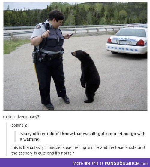 Sorry, officer