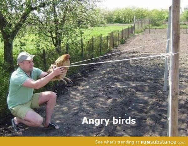 The new way of playing angry birds