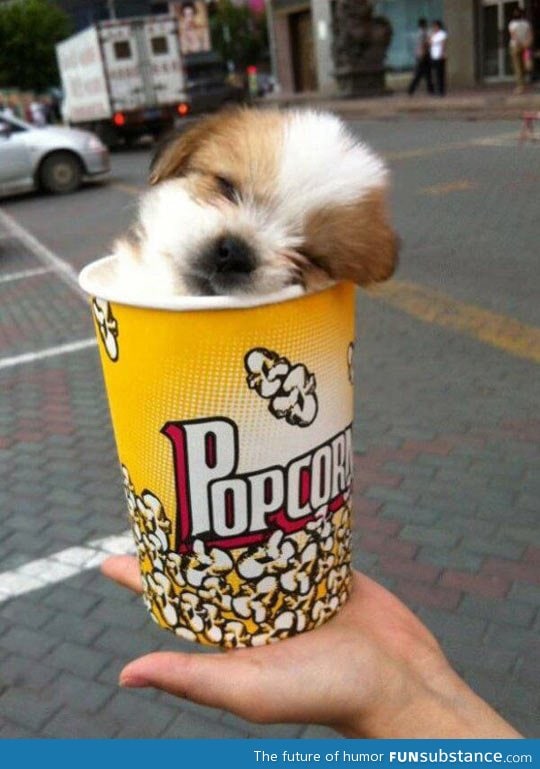 Pupcorn
