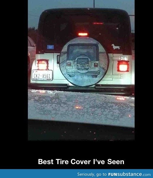 Tire coverception