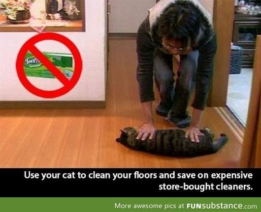 Cat lifehack