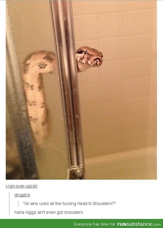 Snakes be like