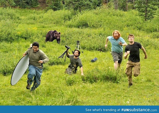 Wildlife photography gone wrong
