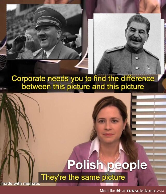 They're the same picture, polish people be like